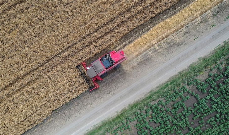 Ukrayna krizi: Türkiye’nin buğday arzında sıkıntı beklenmiyor