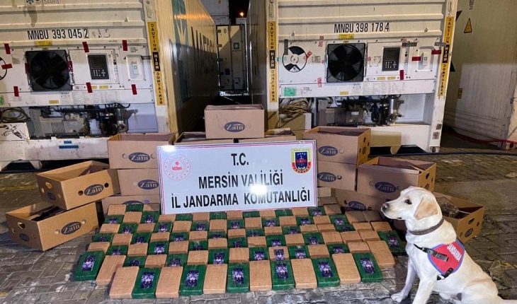 Bakan Soylu duyurdu: Mersin Limanı'nda 258 kilo kokain ele geçirildi