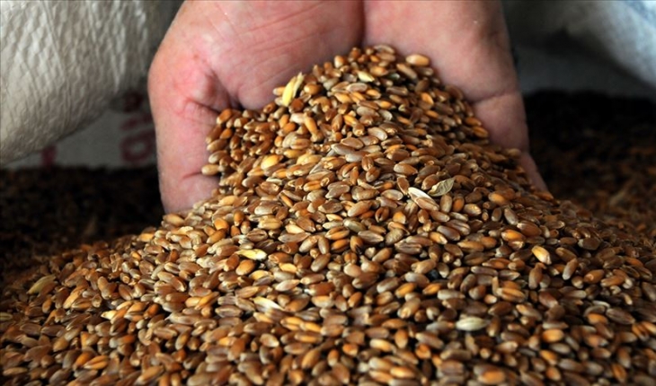 Tarım Bakanlığı'ndan 'Hindistan'dan buğday ithalatı' iddiasına yalanlama