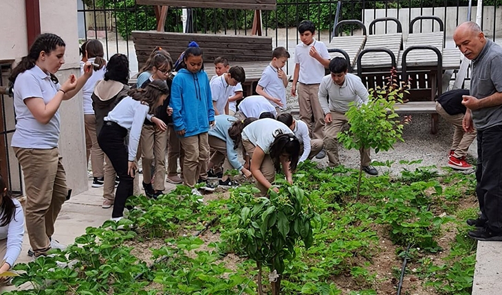 Okul bahçesinde organik tarım projesi