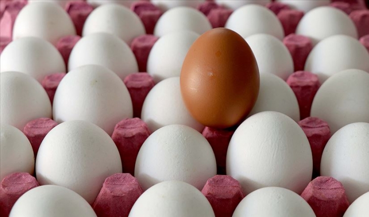Rekabet Kurumu’dan yumurta sektörüne soruşturma! Listede Konya’da var