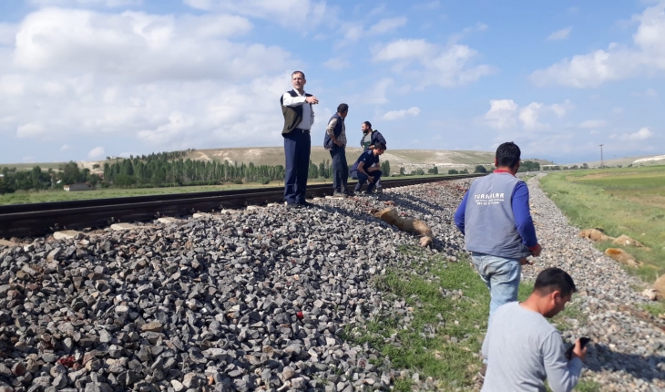Konya’da yolcu treni koyun sürüsüne çarptı