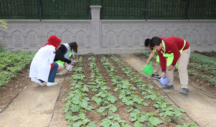 Büyükşehir ve İl Milli Eğitim işbirliğinde okullar çiçek açtı