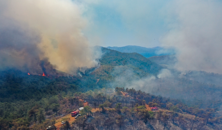 Marmaris’teki orman yangınıyla ilgili soruşturma başlatıldı