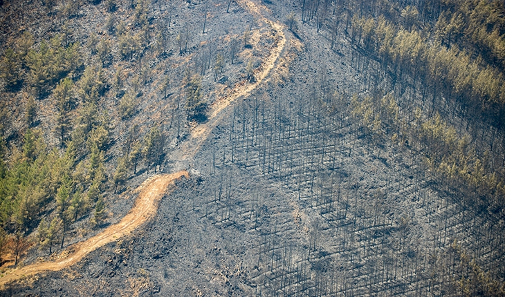 Marmaris yangınının bilançosu: Yeşilden eser kalmadı