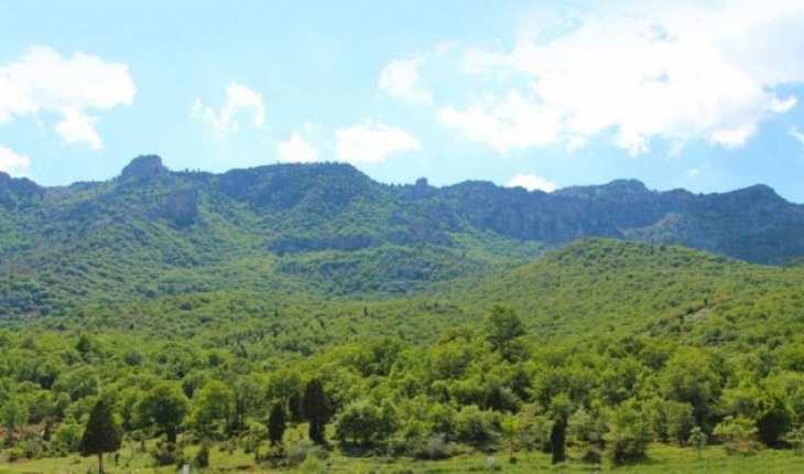 Konya'nın bu ilçesinde ormanlık alanlara giriş yasaklandı