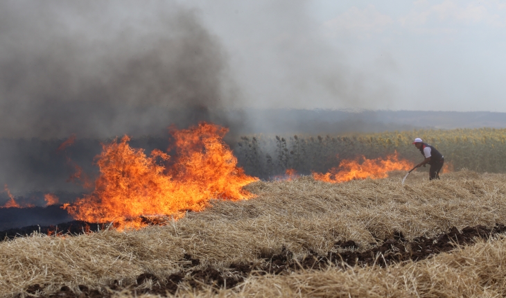 Buğday hasadı sırasında çıkan yangın söndürüldü