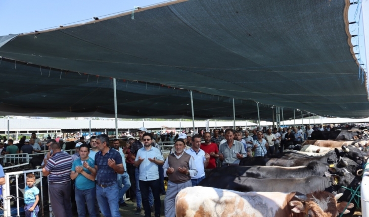 Seydişehir’de canlı hayvan pazarı açıldı