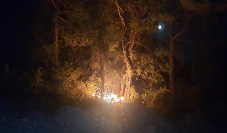 Adana Feke'deki orman yangınlarıyla ilgili 1 şüpheli tutuklandı