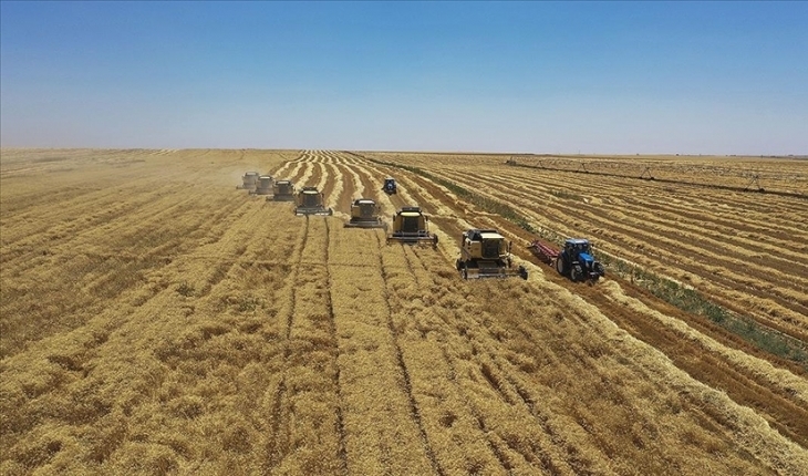 Anlaşma meyvelerini veriyor: Buğday fiyatları geriledi