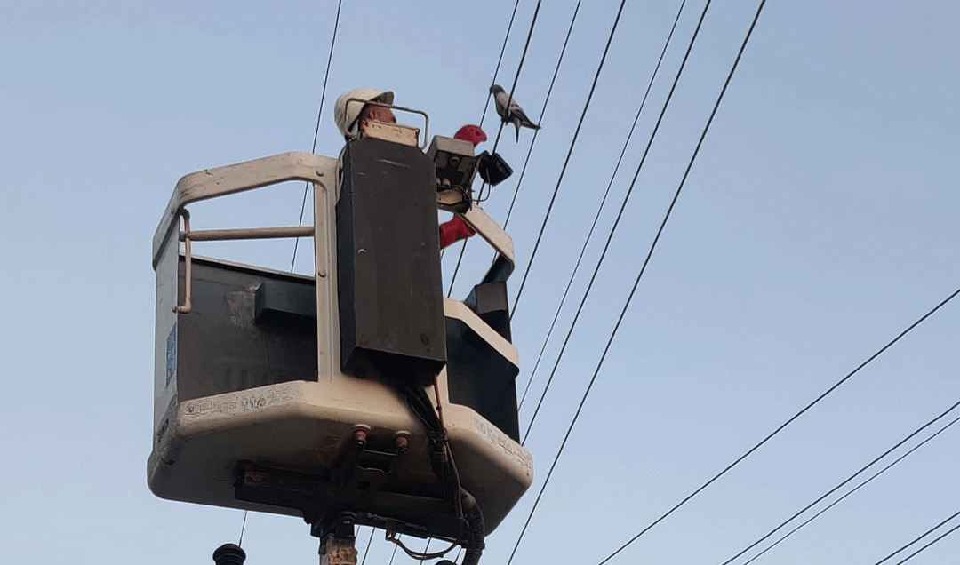 Elektrik tellerine yapışan güvercin kurtarıldı 