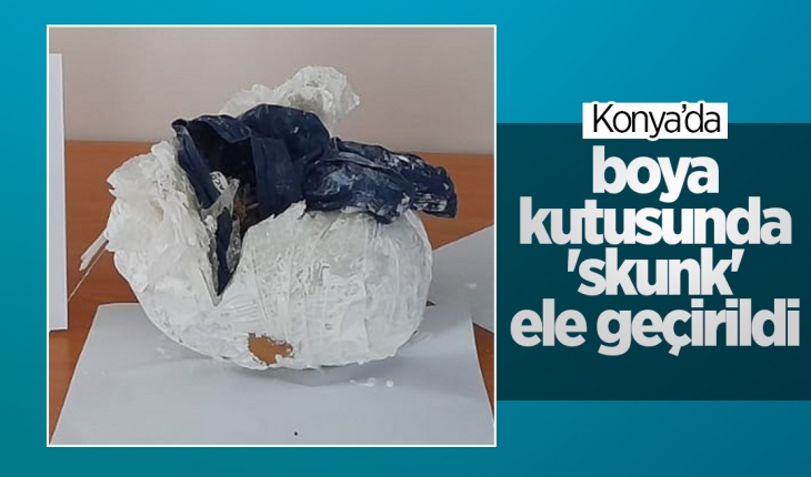 Konya’da boya kutusuna zulalanmış ’skunk’ ele geçirildi