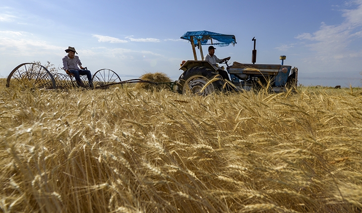 Van'da ilkbaharda alınan yağışlar buğday rekolte beklentisini 45 bin ton artırdı