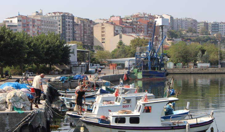 Marmara'da hamsi, Karadeniz'de palamut, balıkçıları umutlandırdı