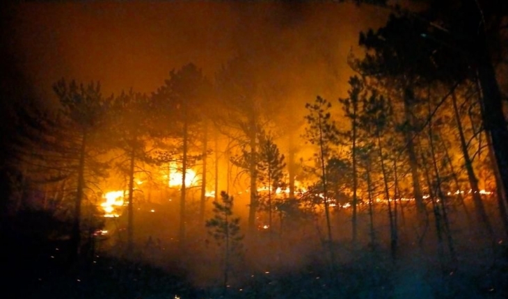 Konya’da ormanlık alanda çıkan yangın söndürüldü