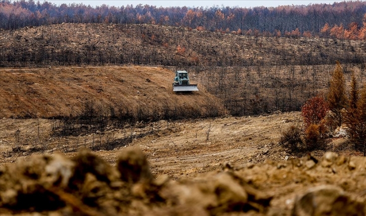 Geçen yıl yanan ormanların yüzde 90’ında çalışmalar tamamlandı