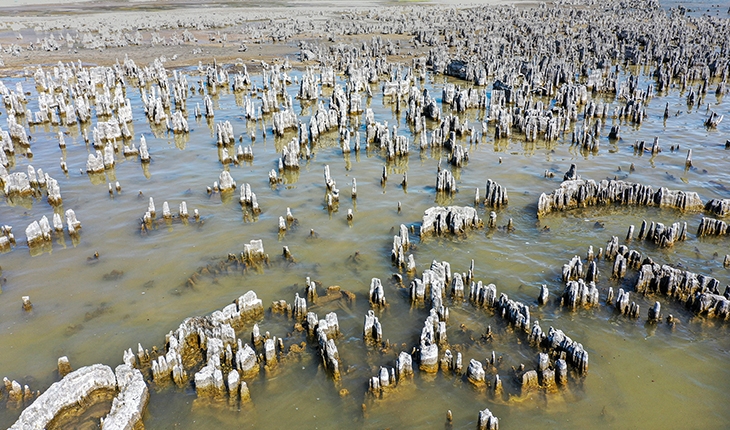 Kuraklık Van Gölü’nde binlerce yılda oluşan mikrobiyalitleri etkiliyor