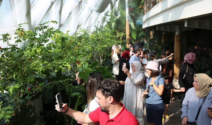 Konya Tropikal Kelebek Bahçesi 450 bin 739 ziyaretçiyi ağırladı