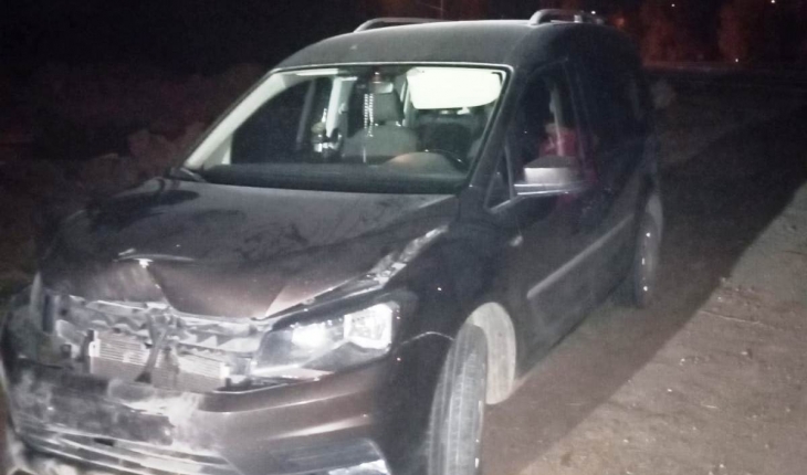 Konya'da hafif ticari araç yola çıkan domuza çarptı