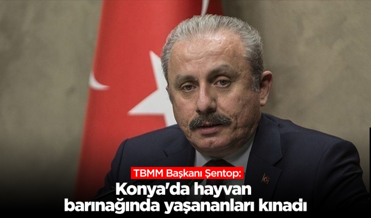 TBMM Başkanı Şentop, Konya'da hayvan barınağında yaşananları kınadı