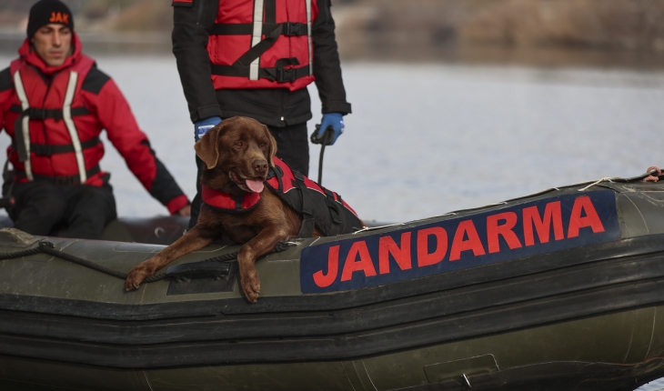 Jandarmanın su altı arama köpekleri, kayıp cesetlerin yerini tespit ediyor