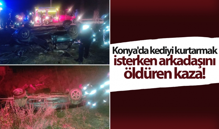 Konya’da kediyi kurtarmak isterken arkadaşını öldüren kaza!