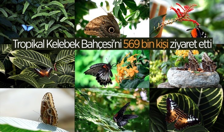 Konya Tropikal Kelebek Bahçesi’ni 569 bin 388 kişi ziyaret etti