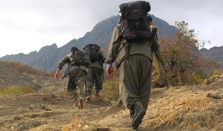 ​Barış Pınarı bölgesinde 1 PKK/YPG’li terörist teslim oldu
