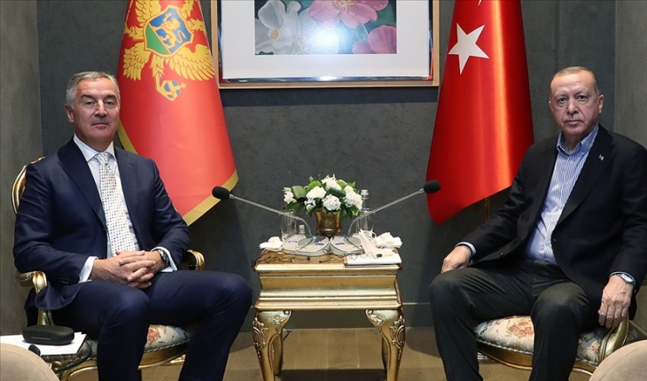 Cumhurbaşkanı Erdoğan, Djukanovic ile görüştü