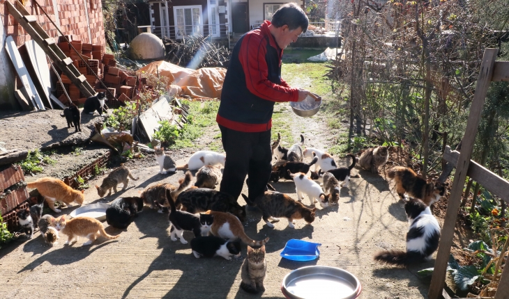Çocuğu gibi gördüğü 50’den fazla kedi için köyünden ayrılmıyor