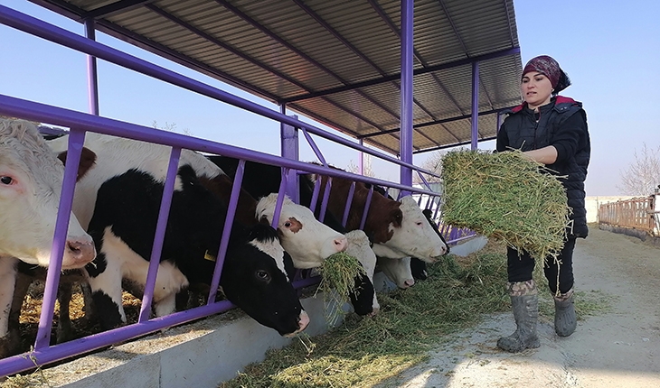 Konya’da üniversite mezunu kadın girişimci devlet desteğiyle çiftlik kurdu