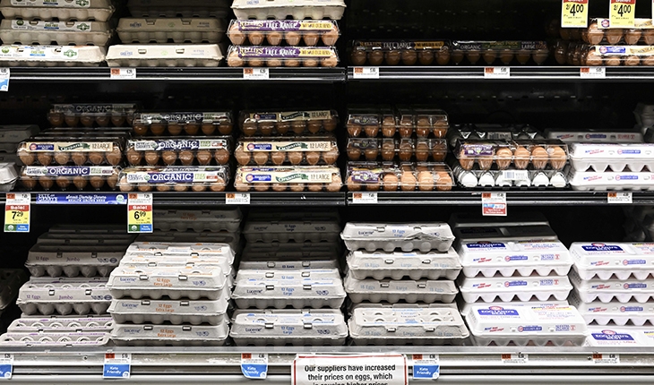 Kuş gribi salgını ve enflasyon, ABD’de yumurta fiyatlarını uçurdu