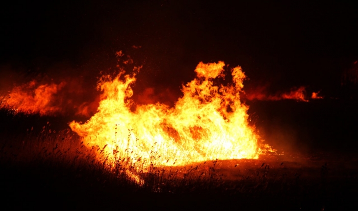 Beyşehir Gölü sazlıklarında çıkan yangın söndürüldü