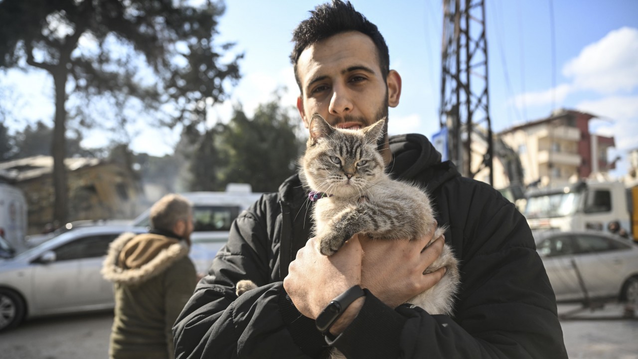 Gönüllüler, bina enkazından kurtardıkları “Şanslı“ kediyi sahipsiz bırakmadı
