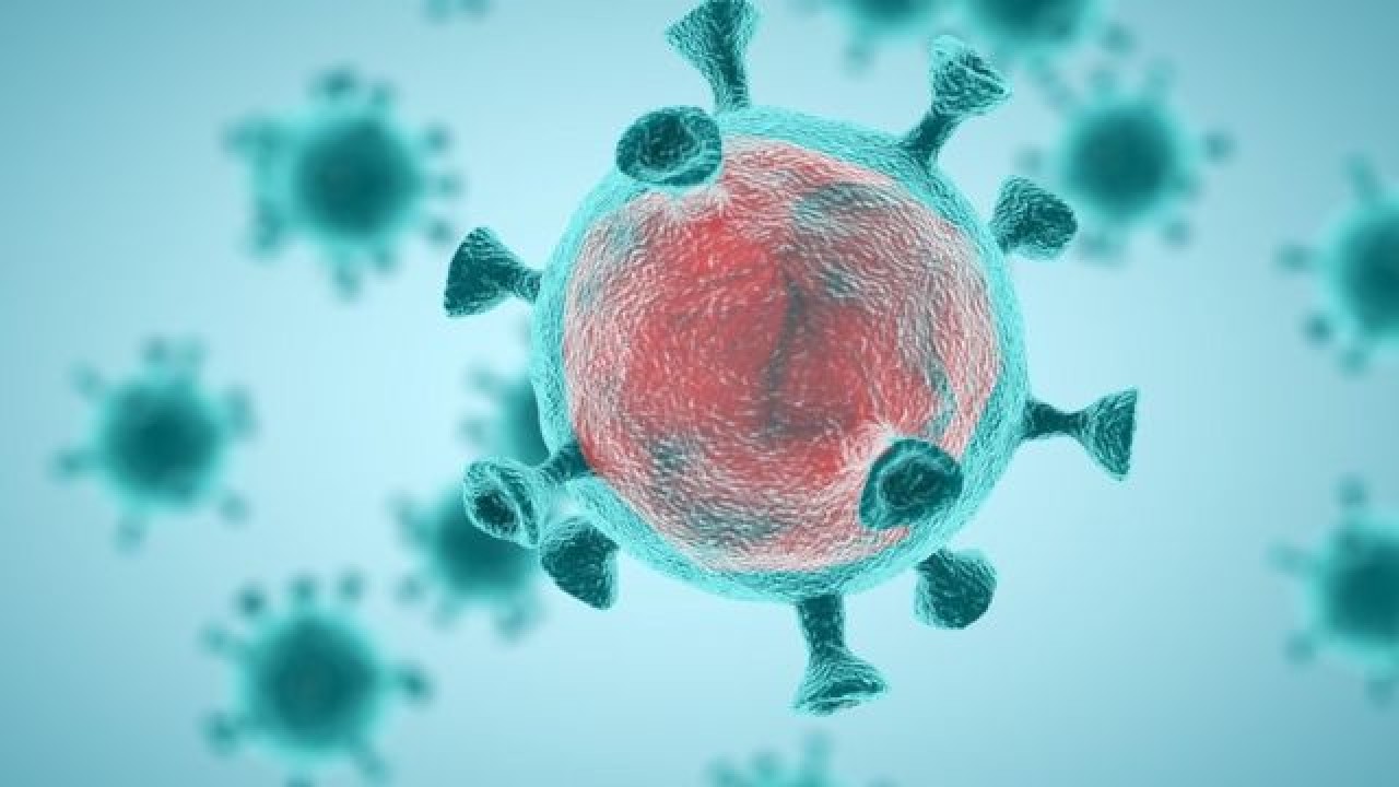ABD: Kovid-19 virüsünün laboratuvardan sızıp sızmadığına ilişkin soruya ’kesin bir cevap’ yok