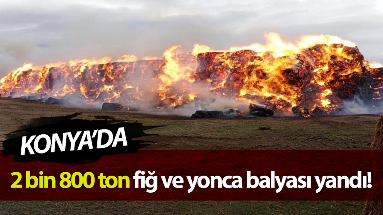 Konya'da 2 bin 800 ton fiğ ve yonca balyası yandı 