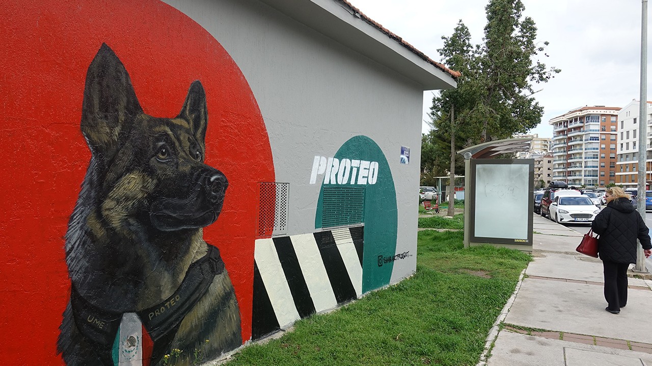 Trafoya kahraman arama kurtarma köpeği Proteo'nun resmi çizildi
