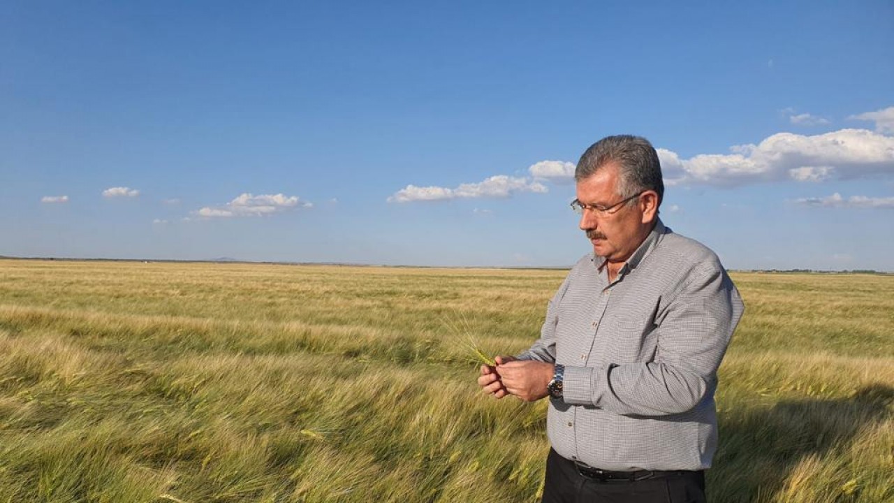 UHK’nin buğday rekolte tahmini 20,75 milyon ton