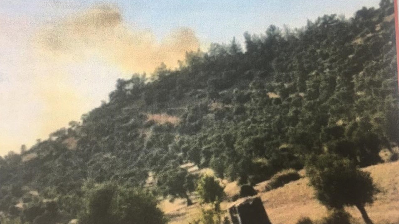 PKK’dan aldığı talimatla orman yangını çıkaran zanlı tutuklandı