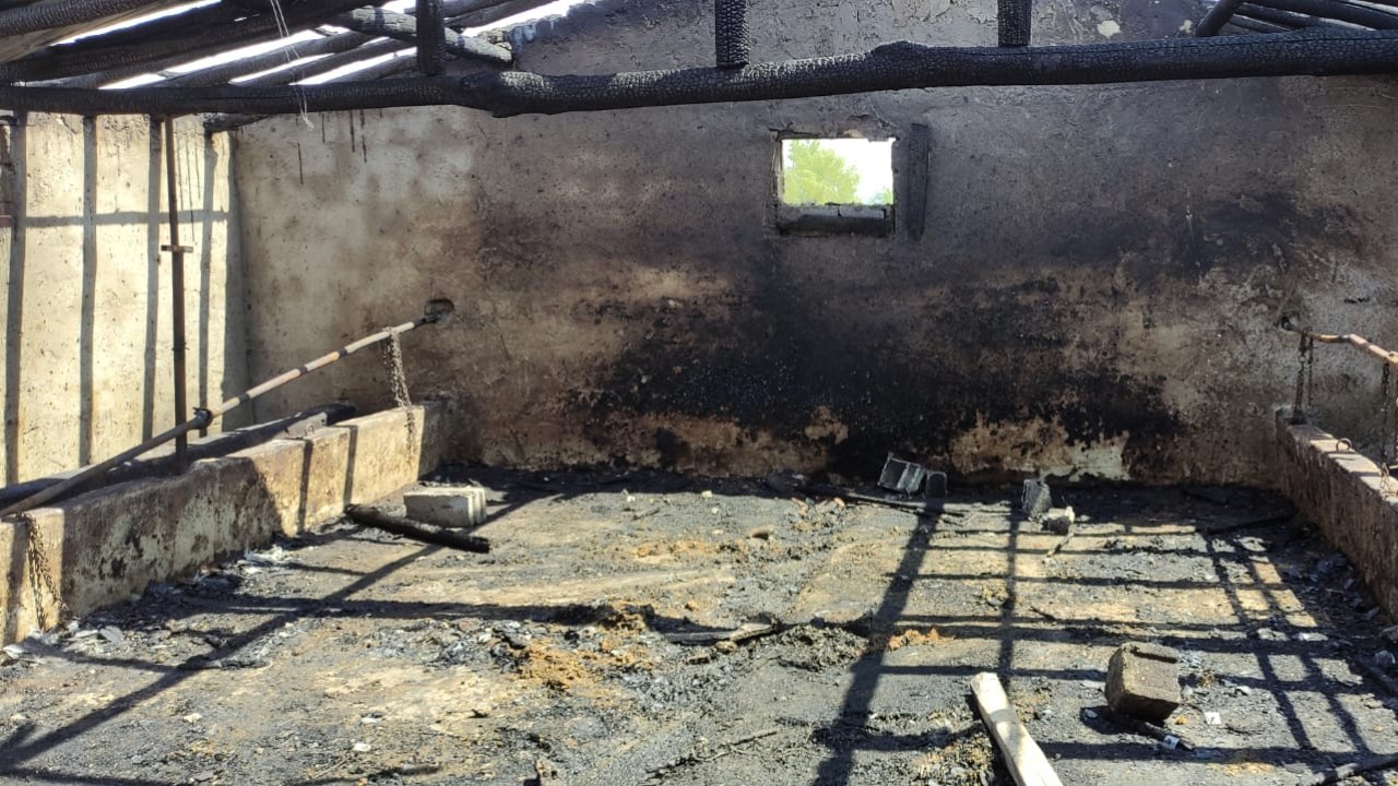 Konya’da bir ahırda yangın çıktı! Kurbanlık 8 büyükbaş hayvan telef oldu