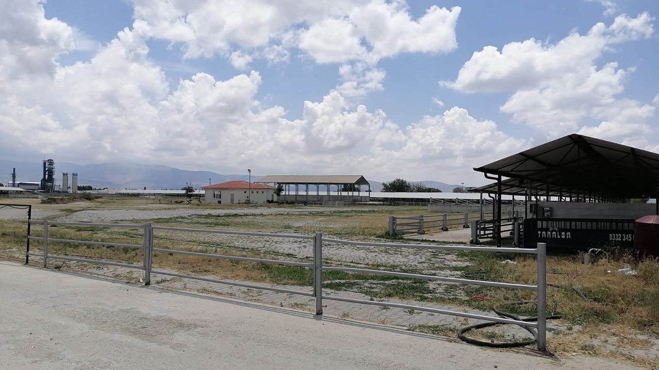 Konya'nın bu ilçesindeki hayvan pazarı tedbir amaçlı faaliyete kapatıldı