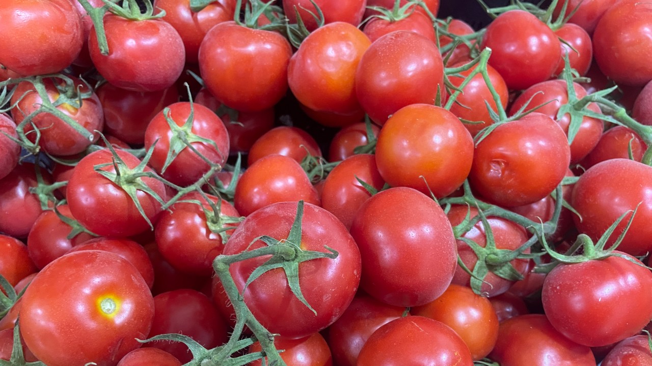 Türkiye’den yılın ilk yarısında 326 milyon 99 bin dolarlık domates ihracatı