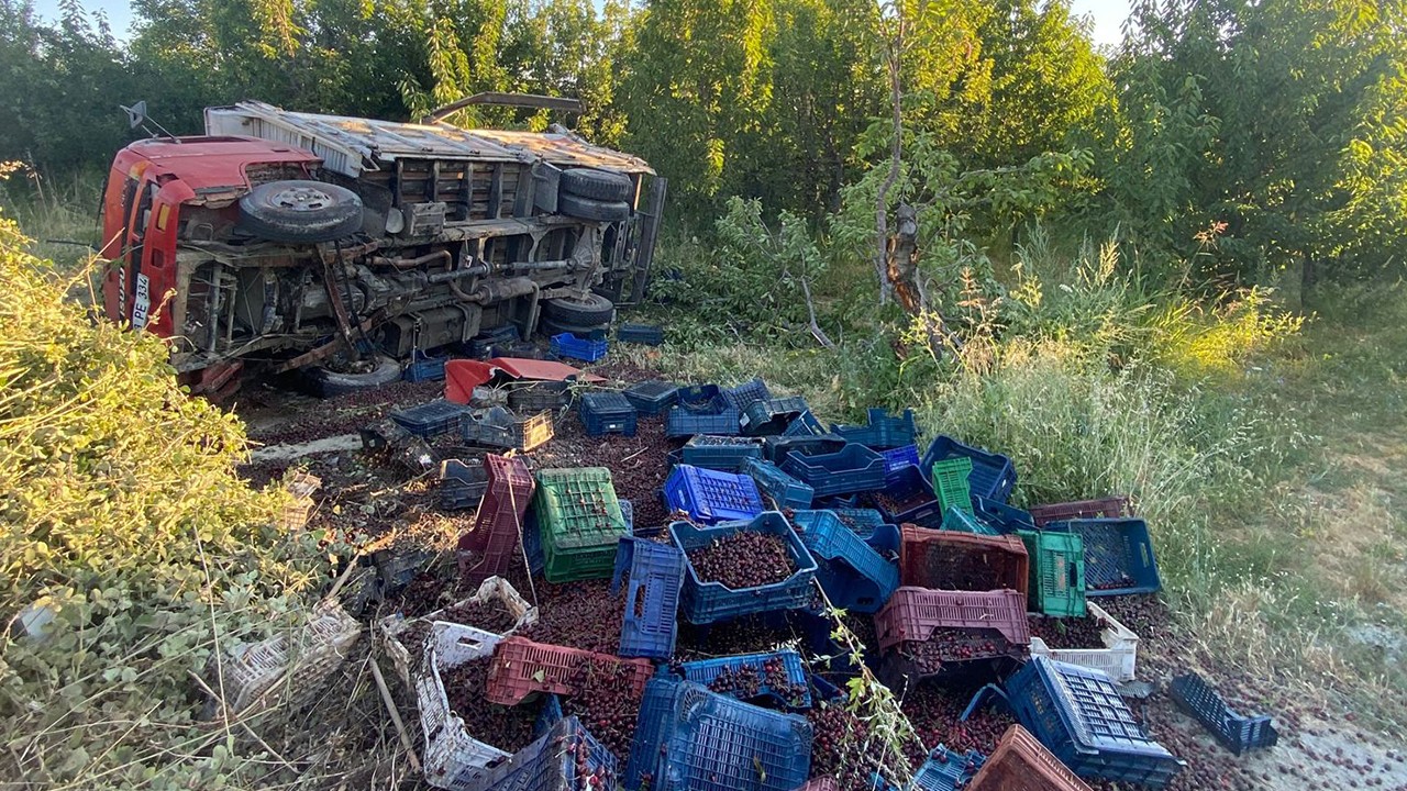 Konya’da kiraz yüklü kamyonet devrildi: Sürücü yaralandı