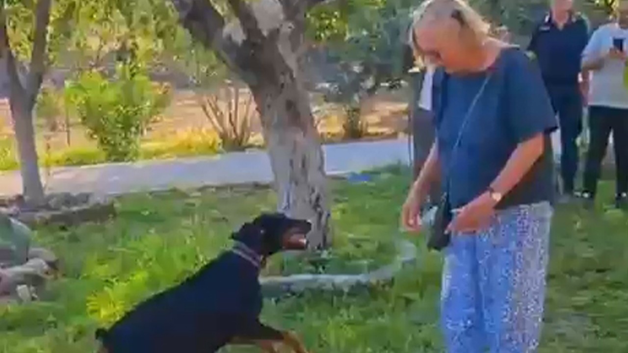 Korhan Berzeg'in 74 gün sonra evine dönen köpeği Tina, Angela Berzeg ile buluştu