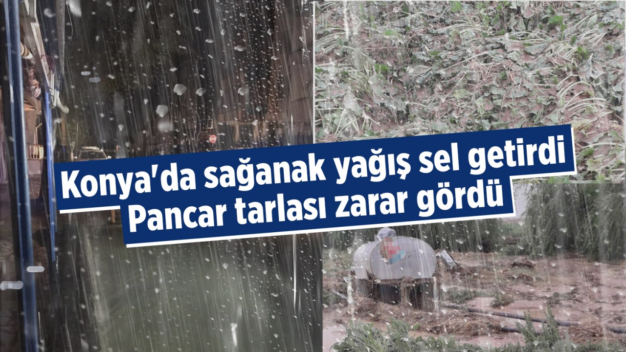 Konya'da şiddetli yağış sel getirdi, bahçe duvarları yıkıldı, pancar tarlası zarar gördü