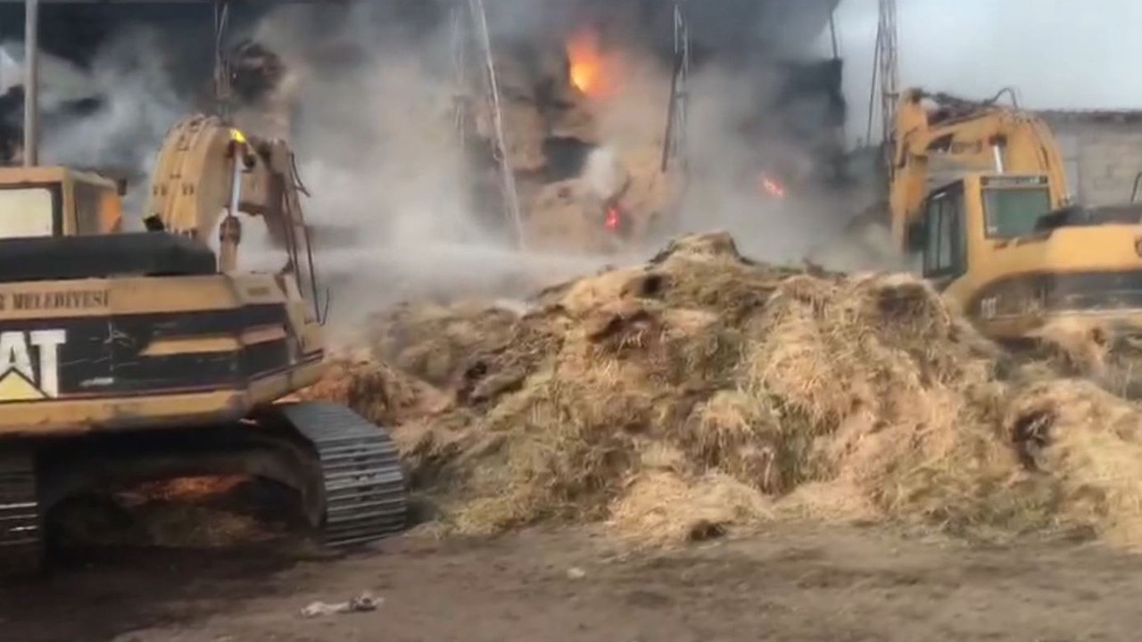 Konya'da ahır yangını: 1000 adet saman balyası küle döndü