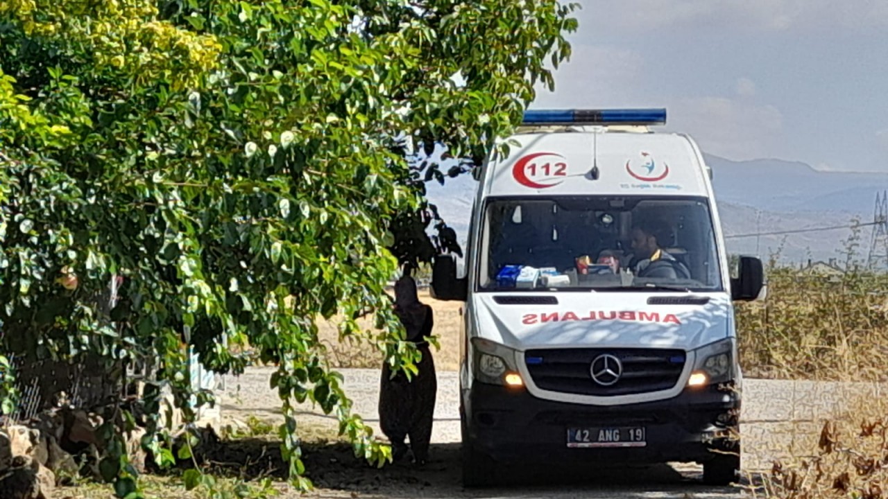 Seydişehir’de ağaçtan düşen kişi  yaralandı