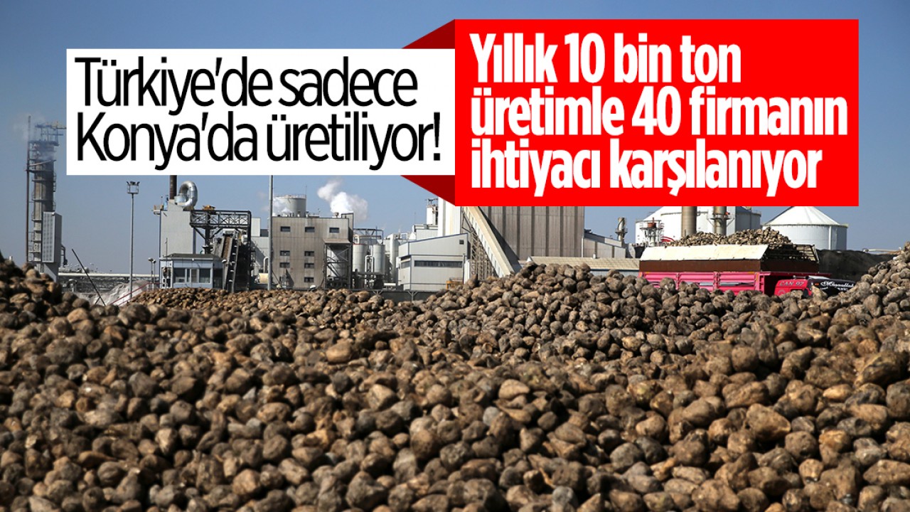 Türkiye'de sadece Konya'da üretiliyor! Yıllık 10 bin ton üretimle 40 firmanın ihtiyacı karşılanıyor