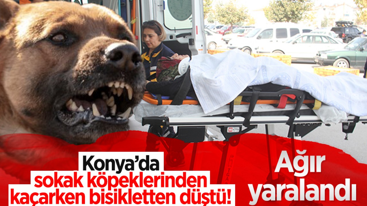 Konya’da sokak köpeklerinden kaçarken bisikletten düşen kadın ağır yaralandı