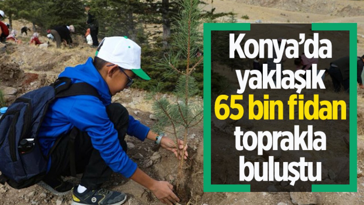 Konya’da yaklaşık 65 bin fidan toprakla buluştu
